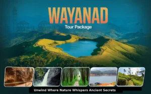wayanad iv tour