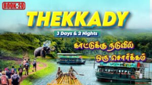chennai to munnar thkkady tour package 2026, rengha travels