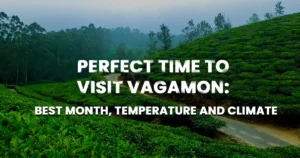 Theni to Vagamon – Distance, Route, Places to Visit & Taxi Service